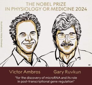 Nobel Prize 2024 MCQ